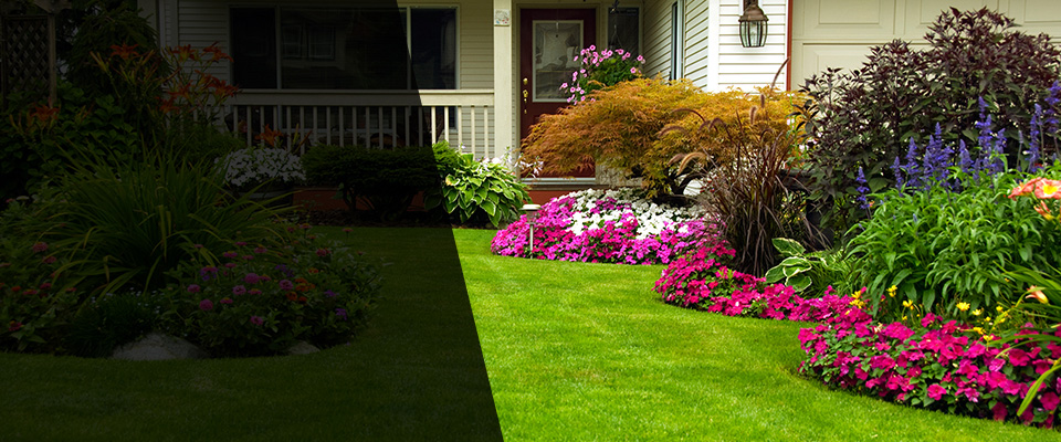 Golf Landscapers