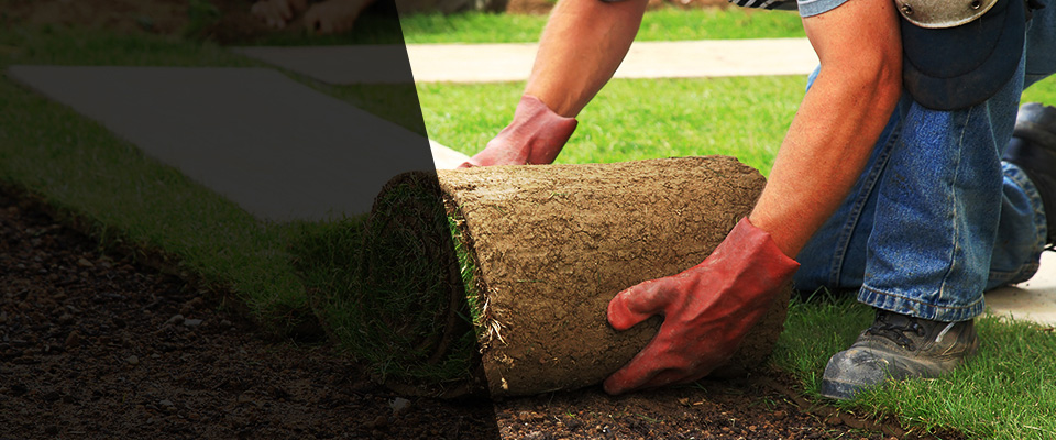 Golf Landscapers